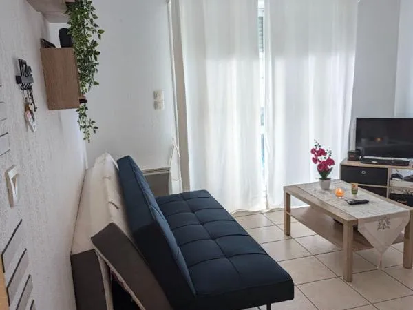 Appartement St Paul Les Dax 2 pièce(s) 37 m2