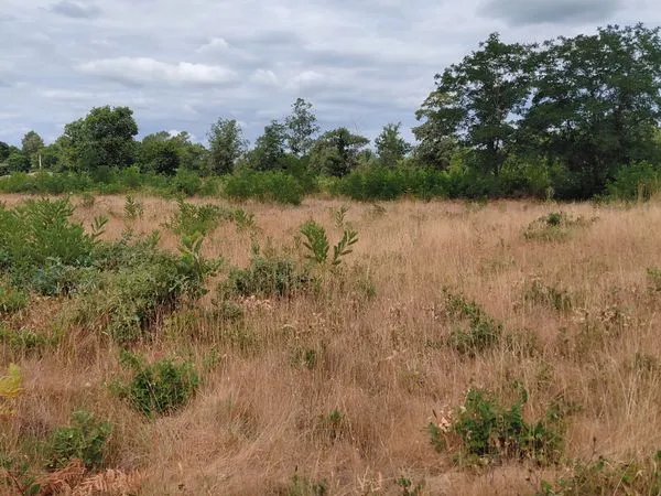 Terrain laluque