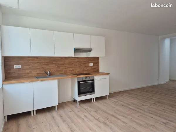 Appartement T3 rénové de 65 m² en plein centre-ville Cave & dependance