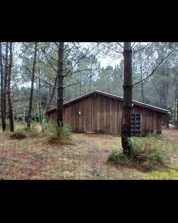 Grande grange en bois en forêt