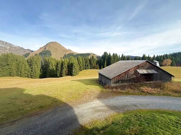 Studio 1 pièce 17 m²