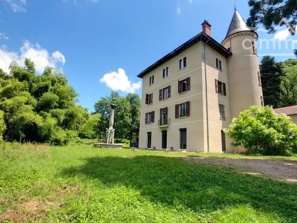 VENTE SAINT-MARTIN-D'HERES - PLATEAU A AMENAGER DANS CHATEAU