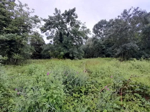Terrain 1182 m²