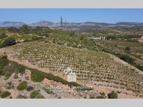 Terrain en individuel 4325 m²
