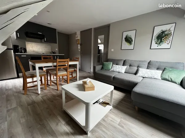 T2 cosy de 30 m2 plein centre ville + machine à laver et sèche linge