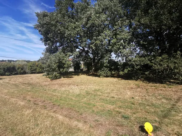 Terrain constructible