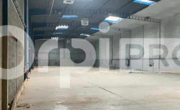 Entrepôt 1351 m²