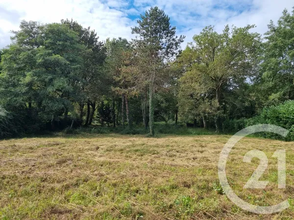 Terrain 11263 m²