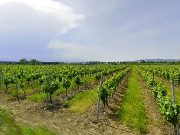 Terrain 335 m²
