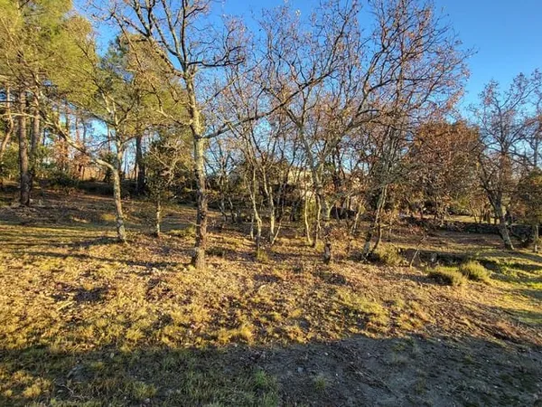 Terrain 1561 m²