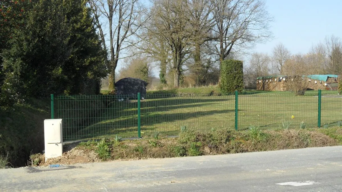 Photo 1