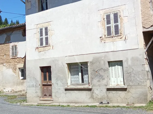 EN VENTE - AUGEROLLES ensemble immobilier de 2 Maisons jumelées.