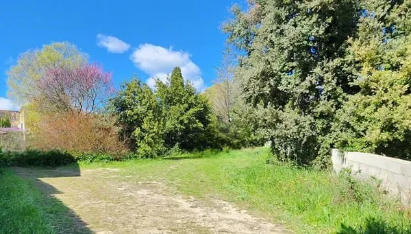 Superbe terrain arboré et viabilisé