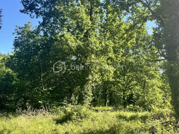 Terrain 2666 m²