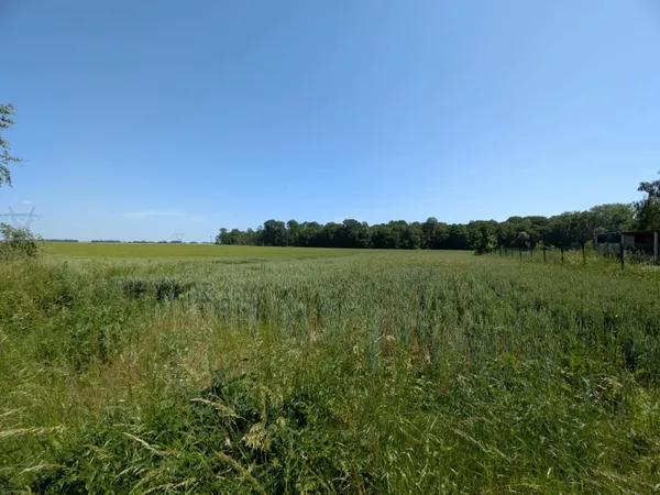 Réf. 2272 - Terrain constructible 1661m²