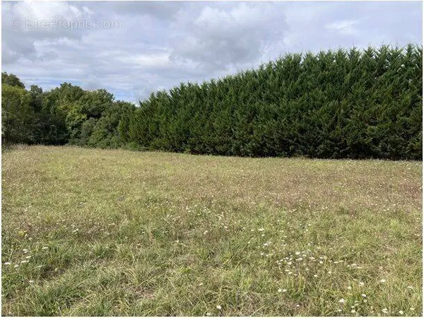 Terrain à bâtir de 2175 m2 au prix de 40000 € à MAINE-DE-BOIXE (16)