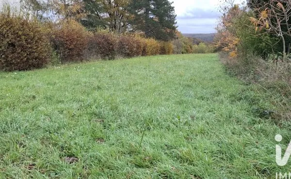 Terrain 3380 m²