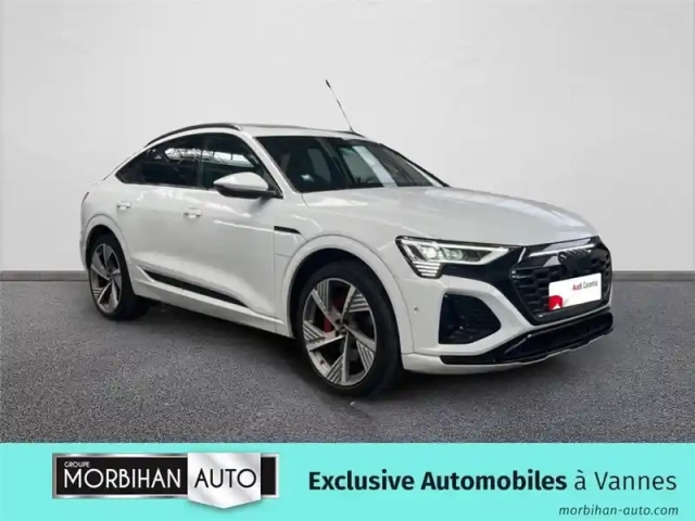 Audi E-Tron 55 408 ch 114 kwh quattro — photo 3