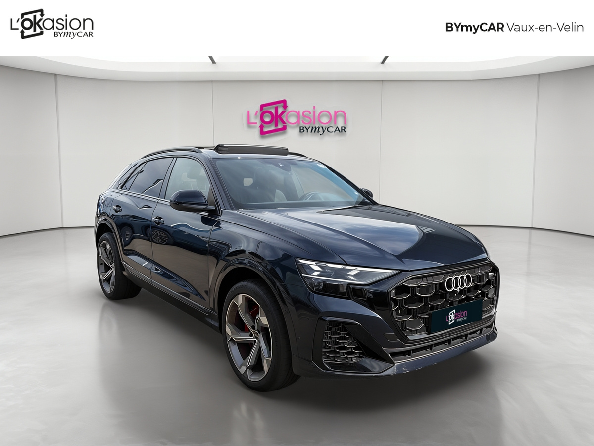 Audi Q8 60 TFSI e 490 Tiptronic 8 quattro — photo 7