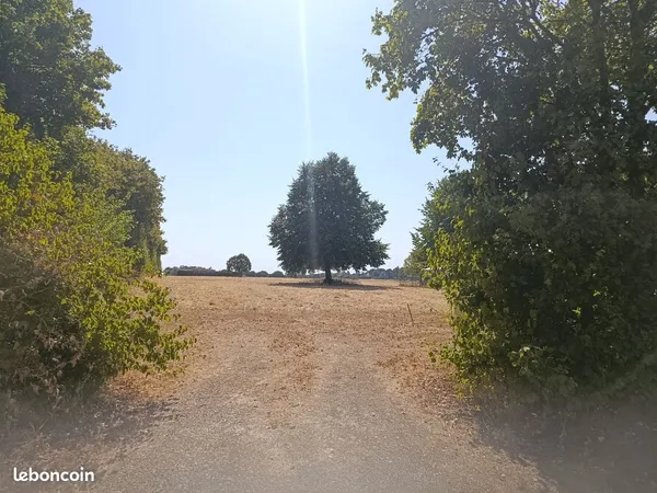 Vente terrain communal viabilisé de 1100m2