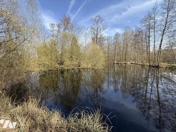 Terrain 15055 m²
