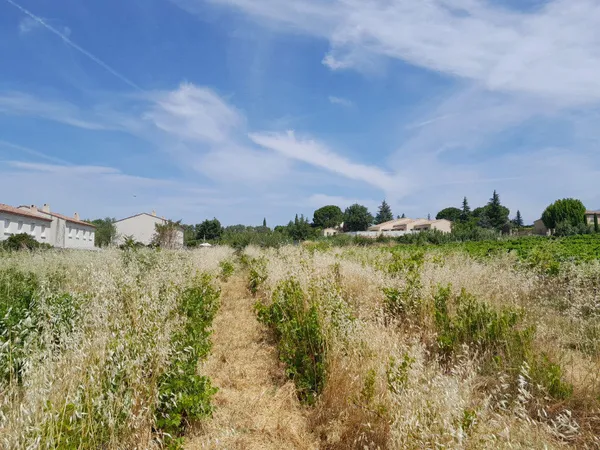 Terrain 528 m²