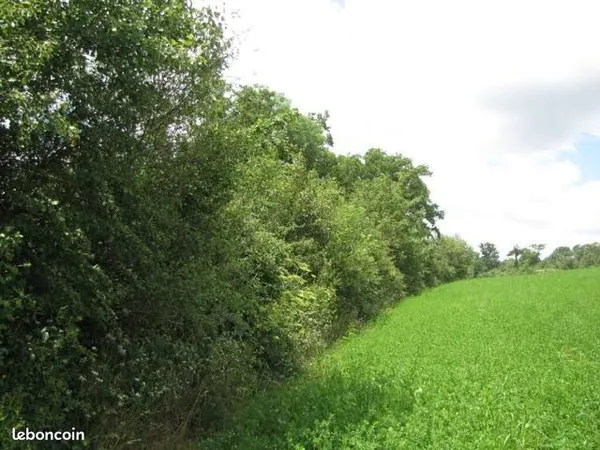 A vendre - parcelle d'herbage 1,59 ha - ideale chevaux