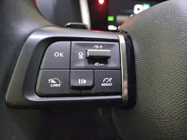 Citroën C4 bluehdi 130 s&amp;s eat8 — photo 53