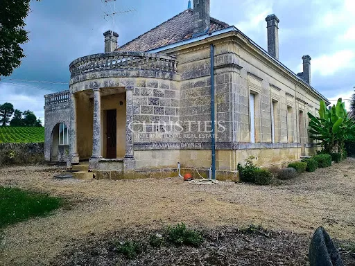 Vignoble 2700 m²