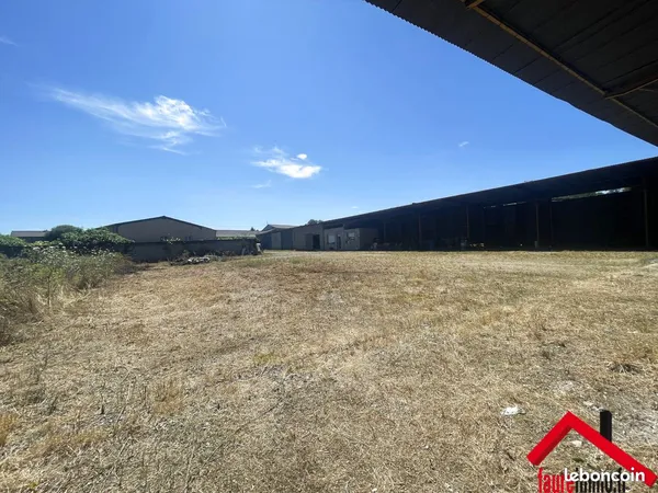 Local 150 m² Objat