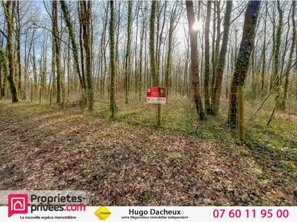Terrain constructible - 6783 m² - Boisé -