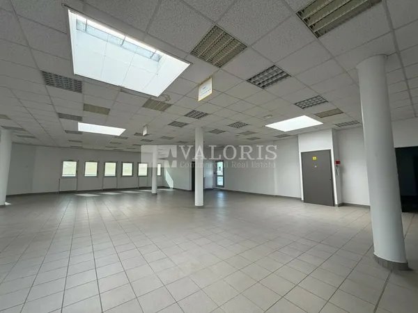 Local professionnel 421 m²