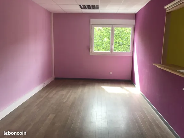 Local 240 m² Monswiller