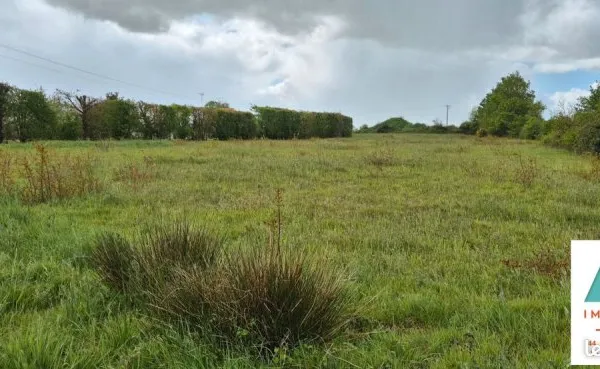Terrain 3100 m² SAINT ETIENNE DE MER MORTE
