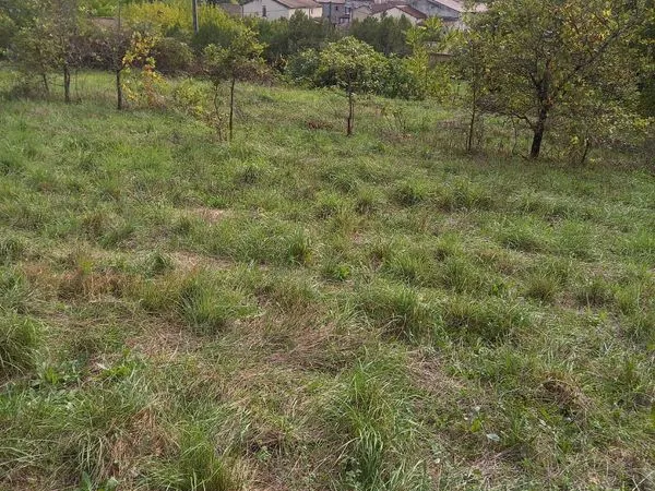 Terrain vue dominante