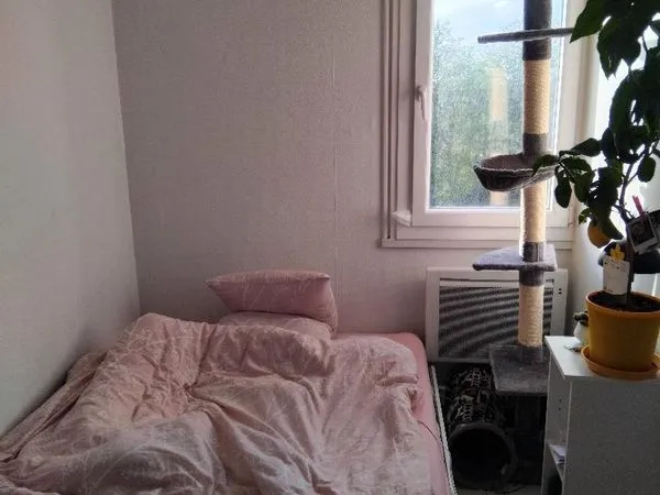 Location en colocation