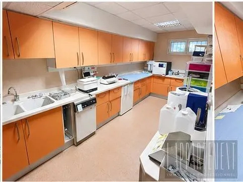 Local professionnel 124 m²