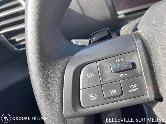 Citroën C4 puretech 130ch s&amp;s c-series eat8 — photo 13