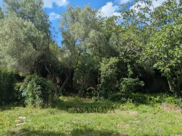Terrain constructible 643 m²