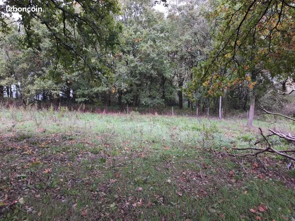 Terrain agricole 6000 m2