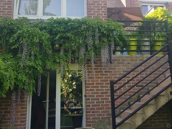 Maison 5 pièces 110 m2