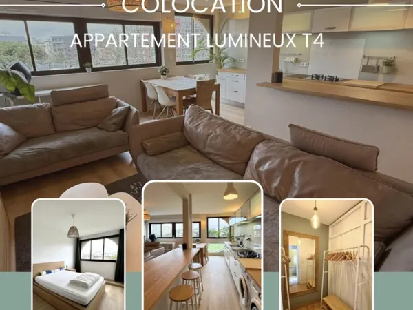 Propose appartement en colocation meublée
