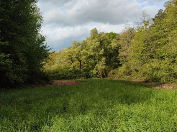 Prairie - terrain de loisir