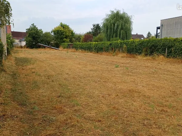Terrain constructible