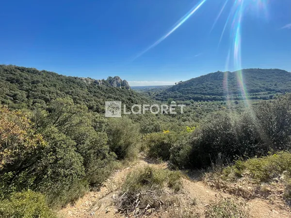 Terrain 11260 m²