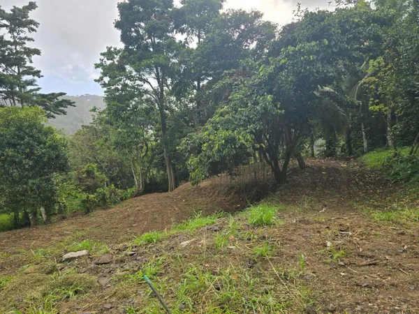 Terrain en individuel 2175 m²