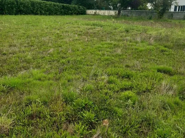 Terrain à bâtir
