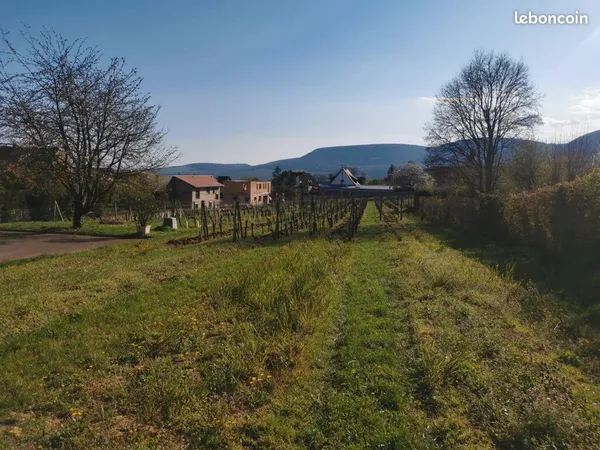 Terrain constructible viabilisé
