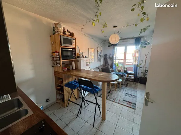 Appartement T2 avec terrasse et vue sur la Garonne