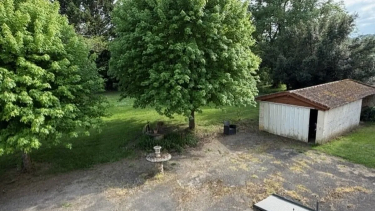 Photo 36
